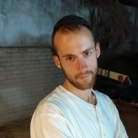 צבי