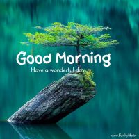 Nirosha
