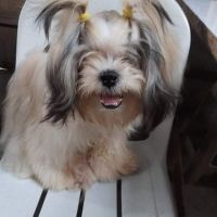 Lily