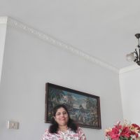 Pleviasunithavas