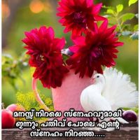 SIJIN