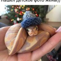 Гендман