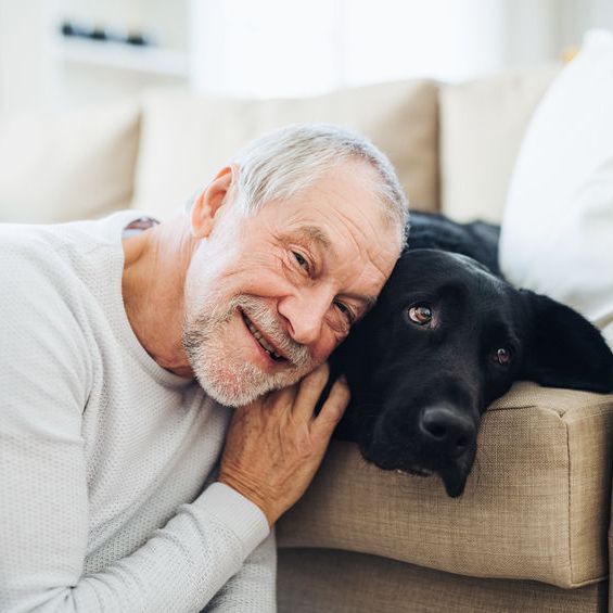 Benefits of Taking Care of Pets for Senior Adults