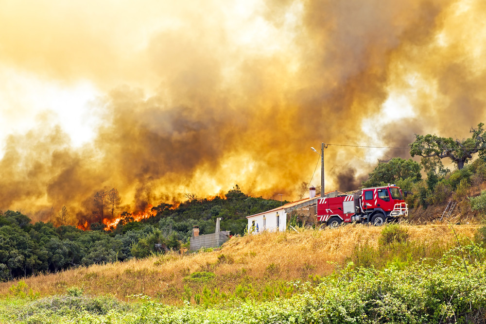 Fire Blazes Across Israel: What To Do?