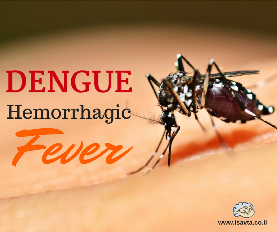 Dengue Fever: An Outbreak