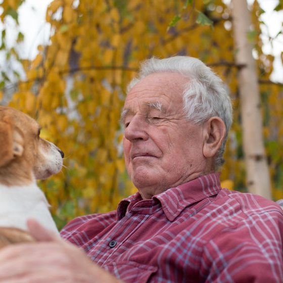 Important Things to Know in Choosing Pets for Senior Adults